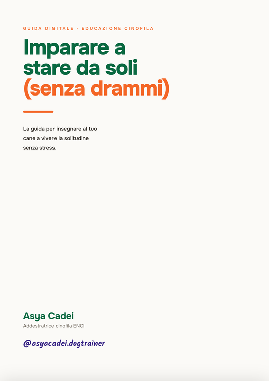Imparare a stare da soli (senza drammi)