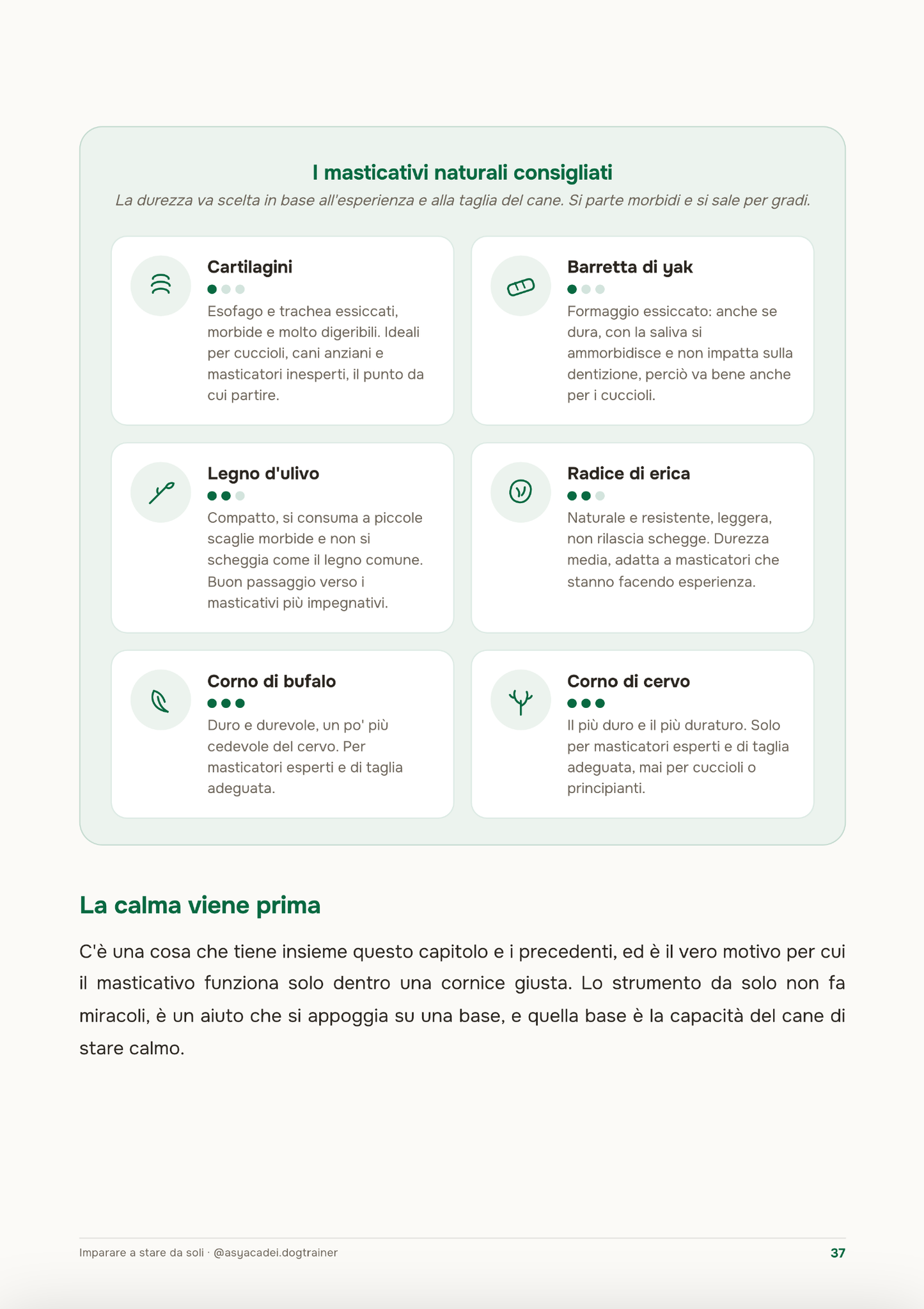Imparare a stare da soli (senza drammi)