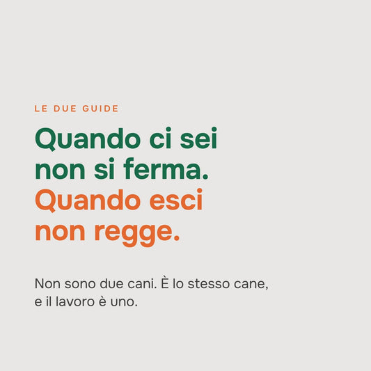Calma + Solitudine — le due guide